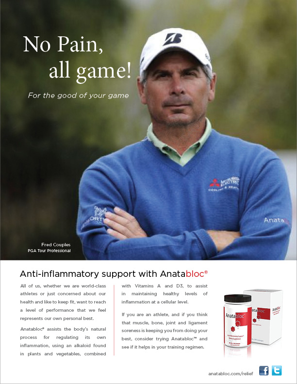 Anatabloc Print Ad
